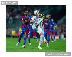 博彩政策对行业信心的影响（博彩政策变动如何左右行业信心）